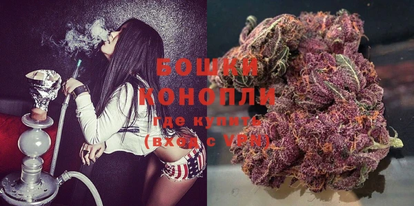 ГАЛЛЮЦИНОГЕННЫЕ ГРИБЫ Покачи